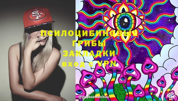 дживик Наволоки